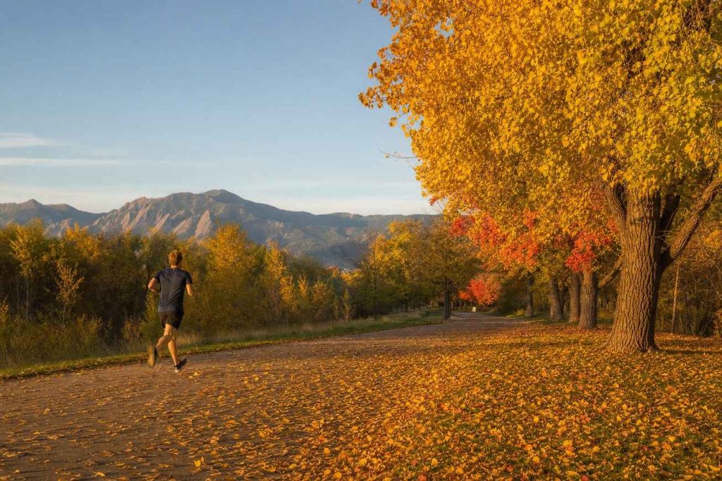 A single runner small in the frame moving along a tree-lined path covered in autumn leaves on a crisp golden October morning, foothills in the distance